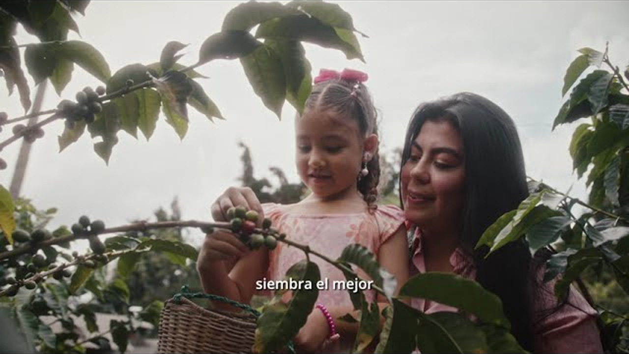 R2-Films-Victoria-El-Viaje-Del-Cafe